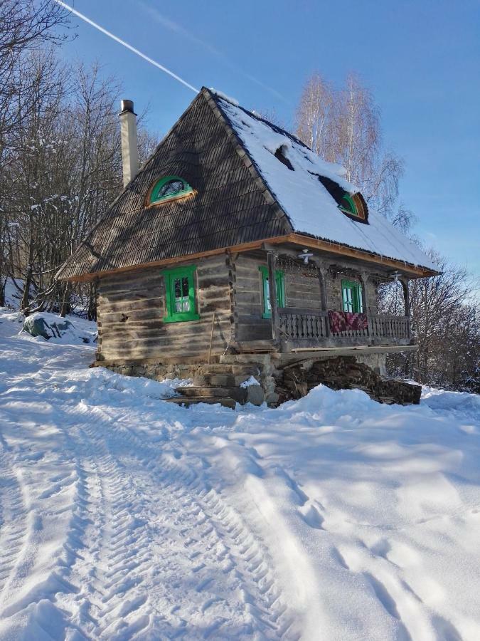 Casa Glod Guest House Glod  Eksteriør bilde