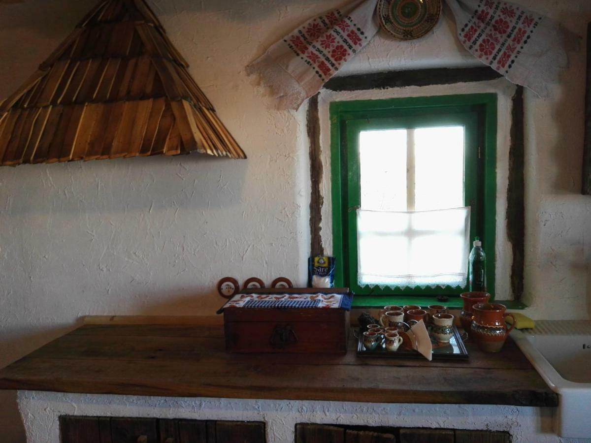 Casa Glod Guest House Glod  Eksteriør bilde