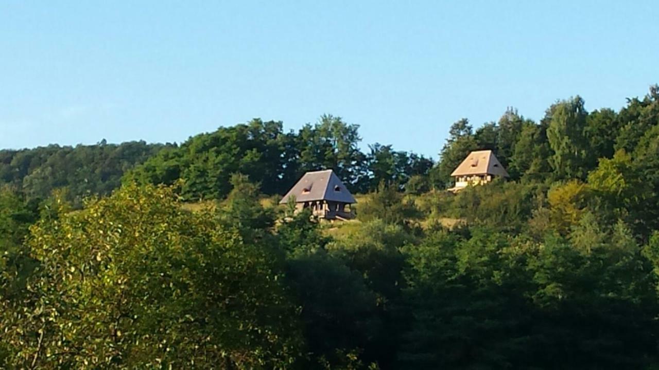 Casa Glod Guest House Glod  Eksteriør bilde