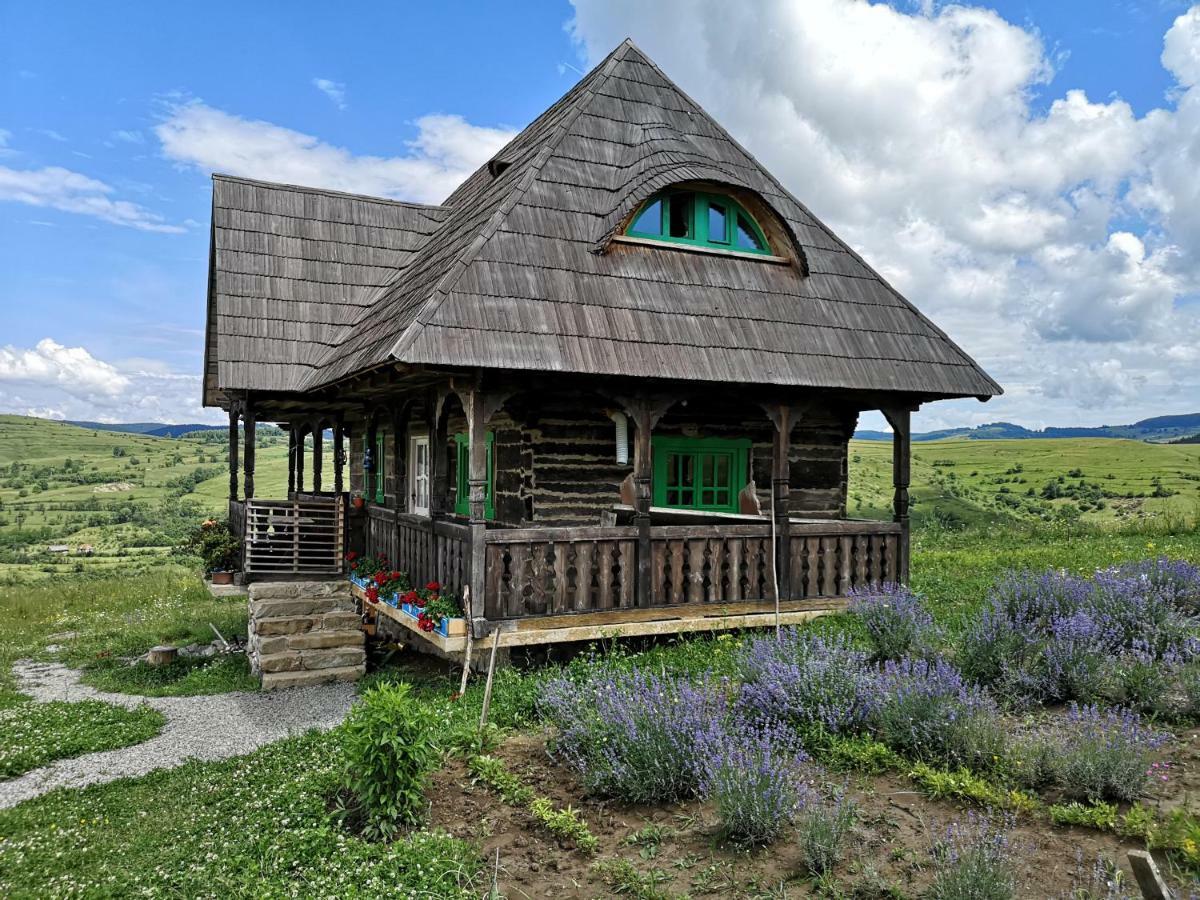 Casa Glod Guest House Glod  Eksteriør bilde