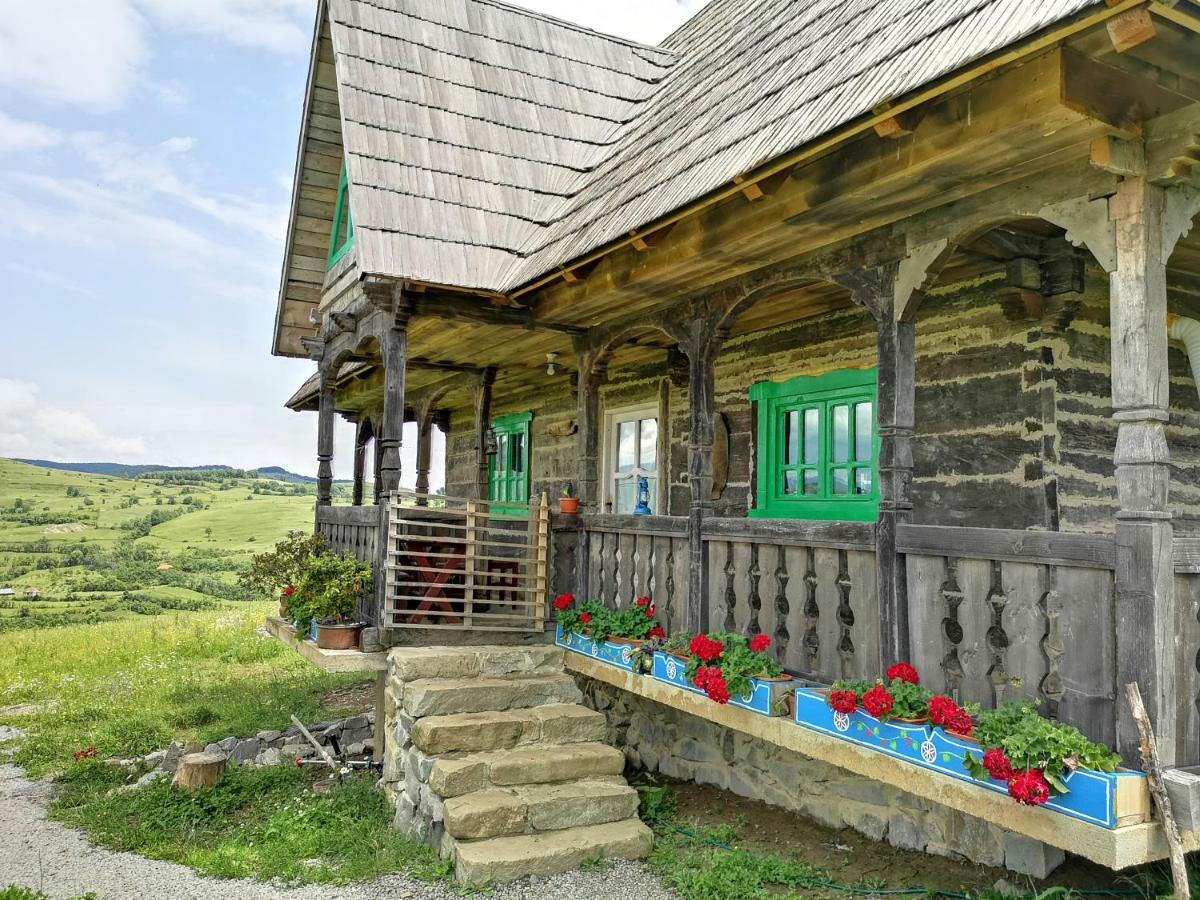 Casa Glod Guest House Glod  Eksteriør bilde