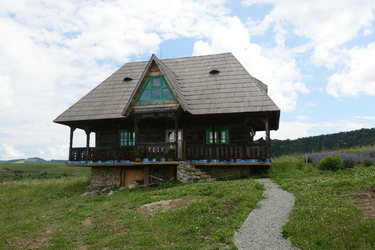 Casa Glod Guest House Glod  Eksteriør bilde